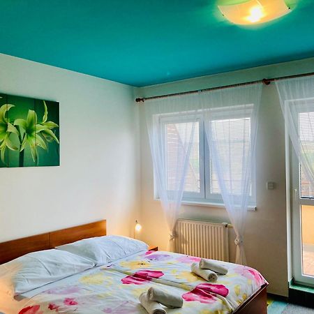 Apartmany, Penzion, Wellness U Zlate Rybky Vyškov Buitenkant foto