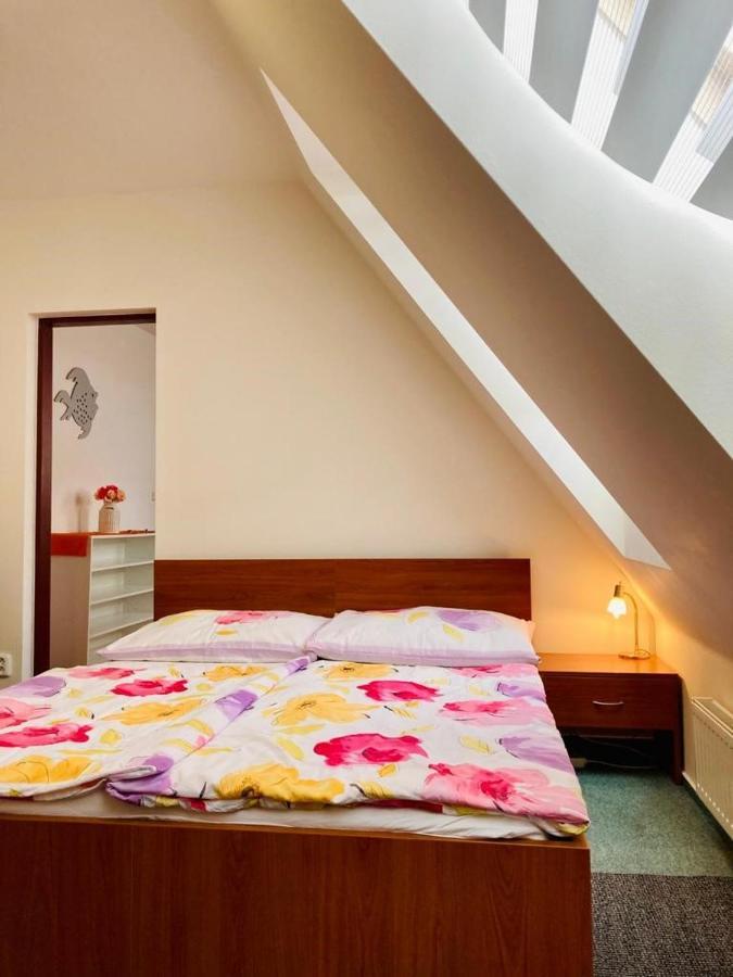 Apartmany, Penzion, Wellness U Zlate Rybky Vyškov Buitenkant foto