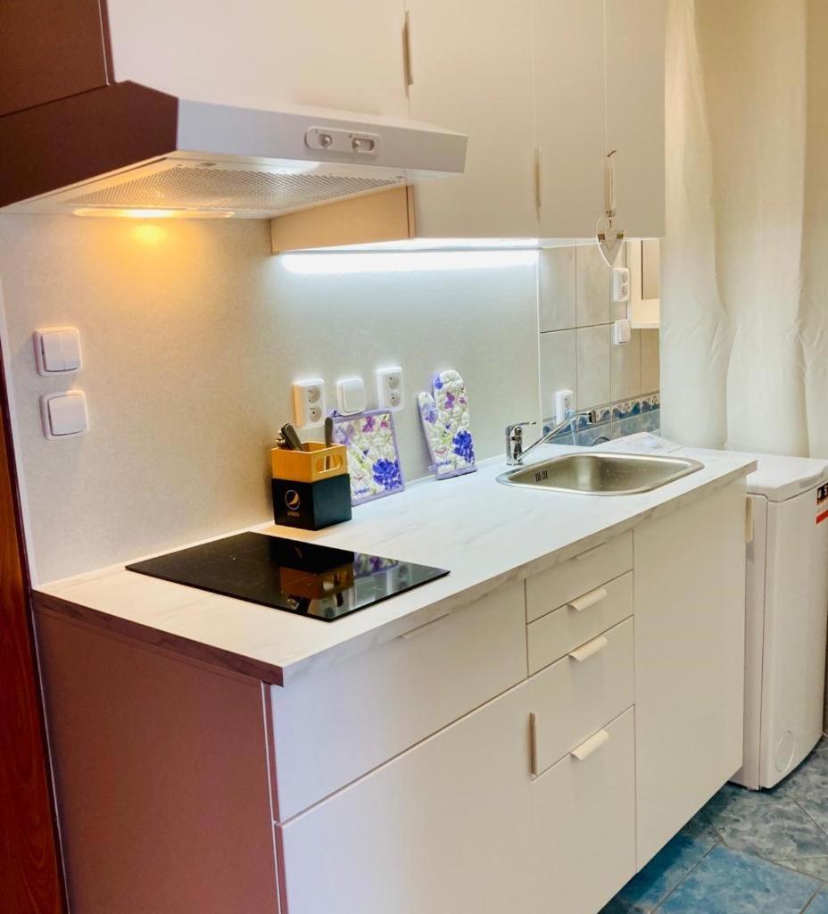 Apartmany, Penzion, Wellness U Zlate Rybky Vyškov Buitenkant foto