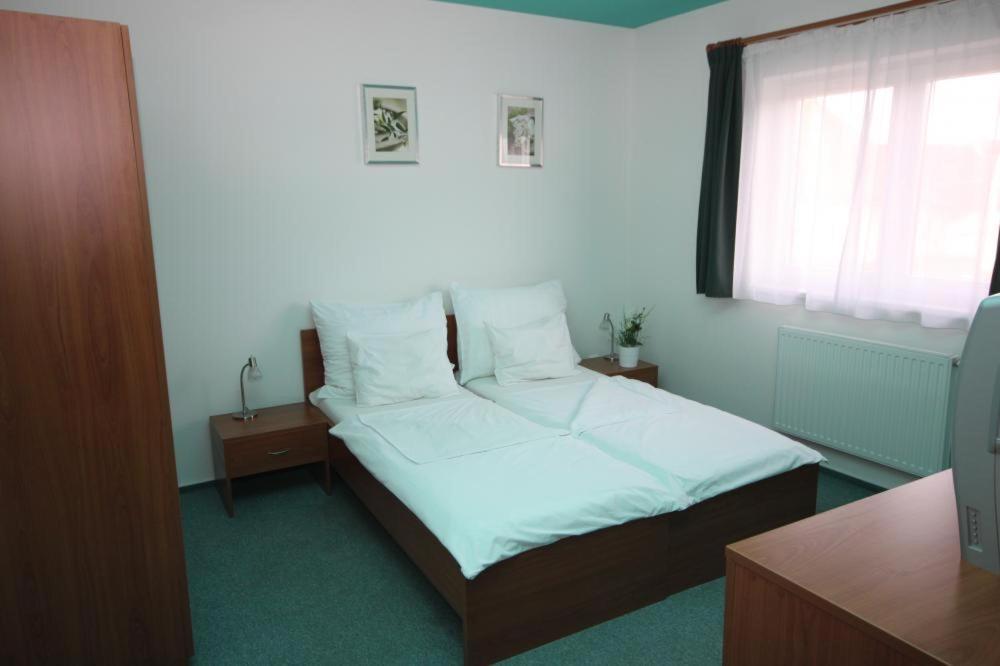 Apartmany, Penzion, Wellness U Zlate Rybky Vyškov Buitenkant foto