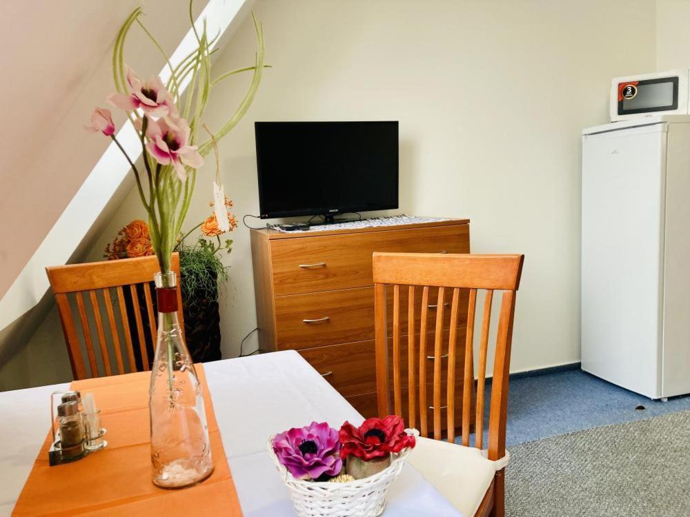 Apartmany, Penzion, Wellness U Zlate Rybky Vyškov Buitenkant foto