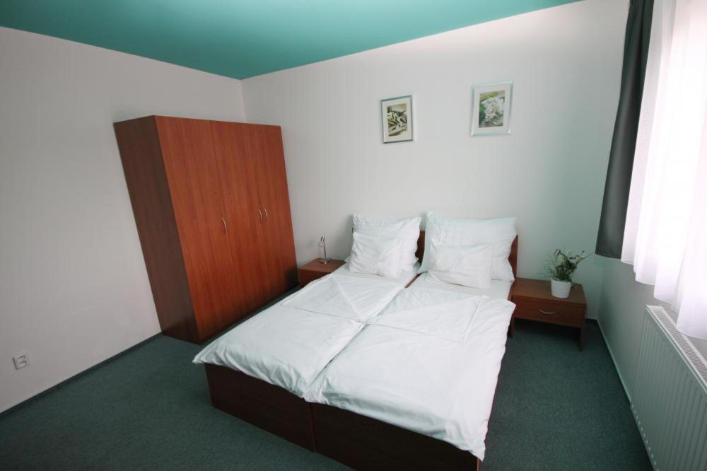 Apartmany, Penzion, Wellness U Zlate Rybky Vyškov Buitenkant foto