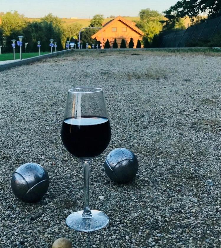 Apartmany, Penzion, Wellness U Zlate Rybky Vyškov Buitenkant foto