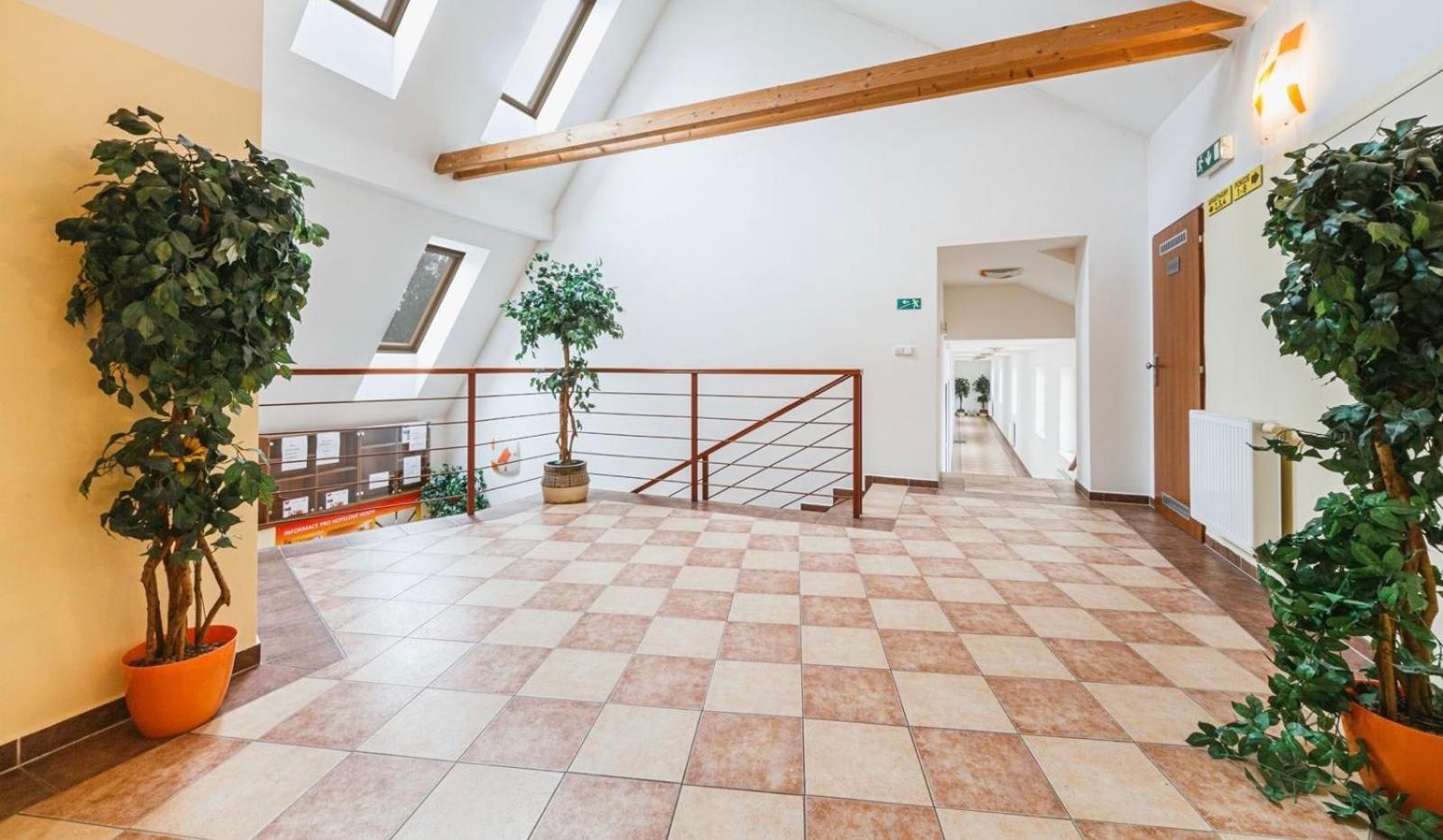 Apartmany, Penzion, Wellness U Zlate Rybky Vyškov Buitenkant foto